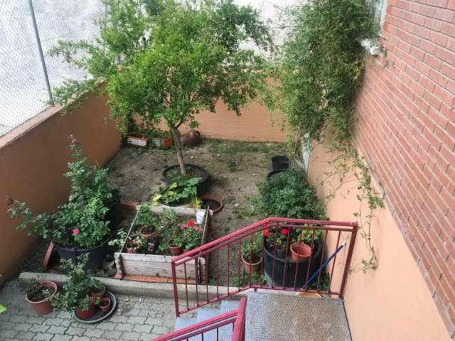 Residencia 12 Octubre Bed and Breakfast Madrid Eksteriør billede